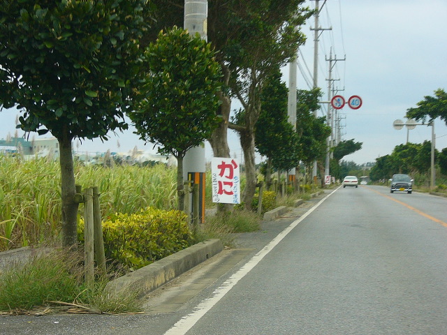 ロール 26 - 19