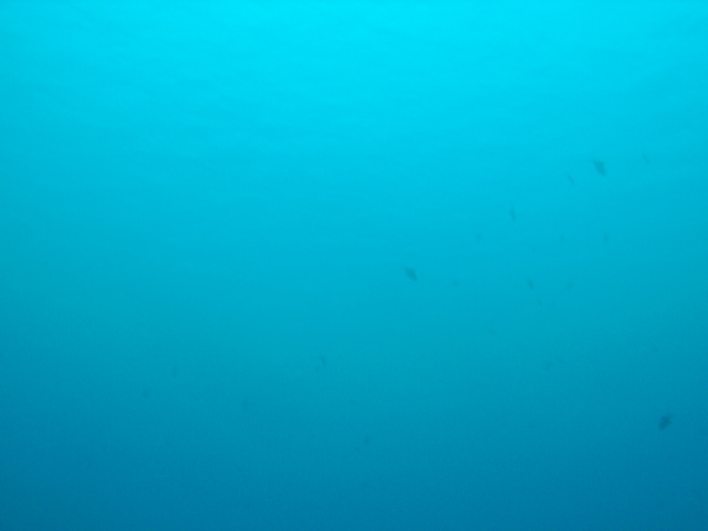 03060021.JPG
