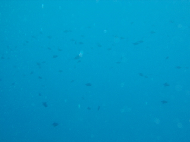 03060037.JPG