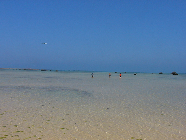 P1010155.JPG