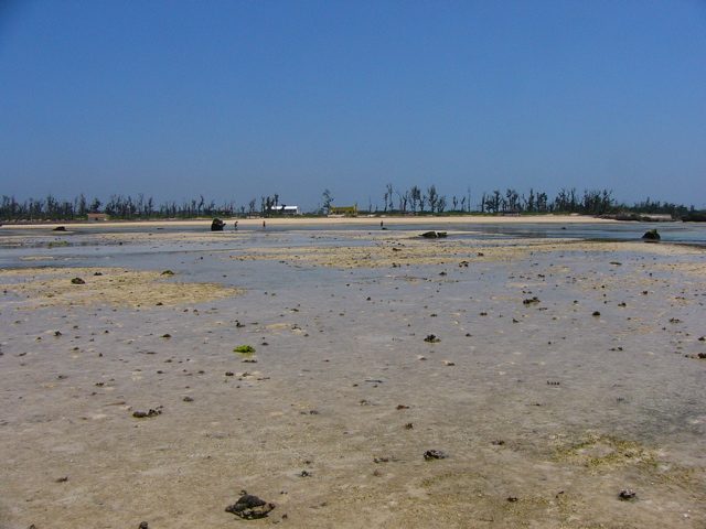 P1010169.JPG