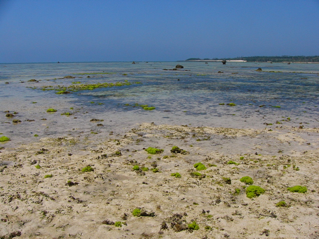 P1010173.JPG