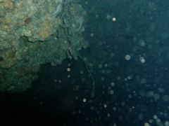 03050065.JPG