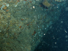03050105.JPG