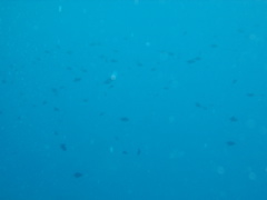 03060037.JPG
