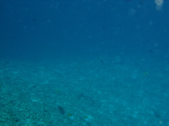 03060117.JPG