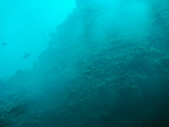 04190098.JPG