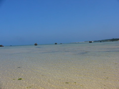 P1010153.JPG