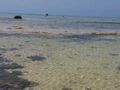 P1010190.JPG