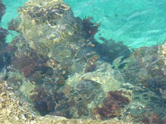P1010115.JPG
