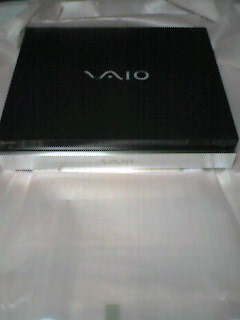 SONY VAIO XVST