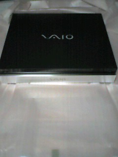 SONY VAIO XVST