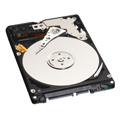 WESTERN DIGITAL 2.5インチ内蔵HDD 250GB Serial-ATA/150 5400rpm 12.0ms 8MB WD2500BEVS