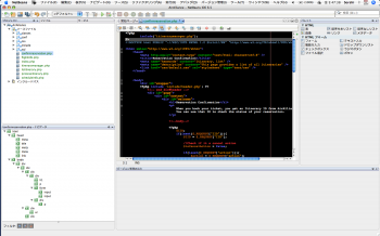 NetBeans Screenshot