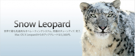 Snow Leopard